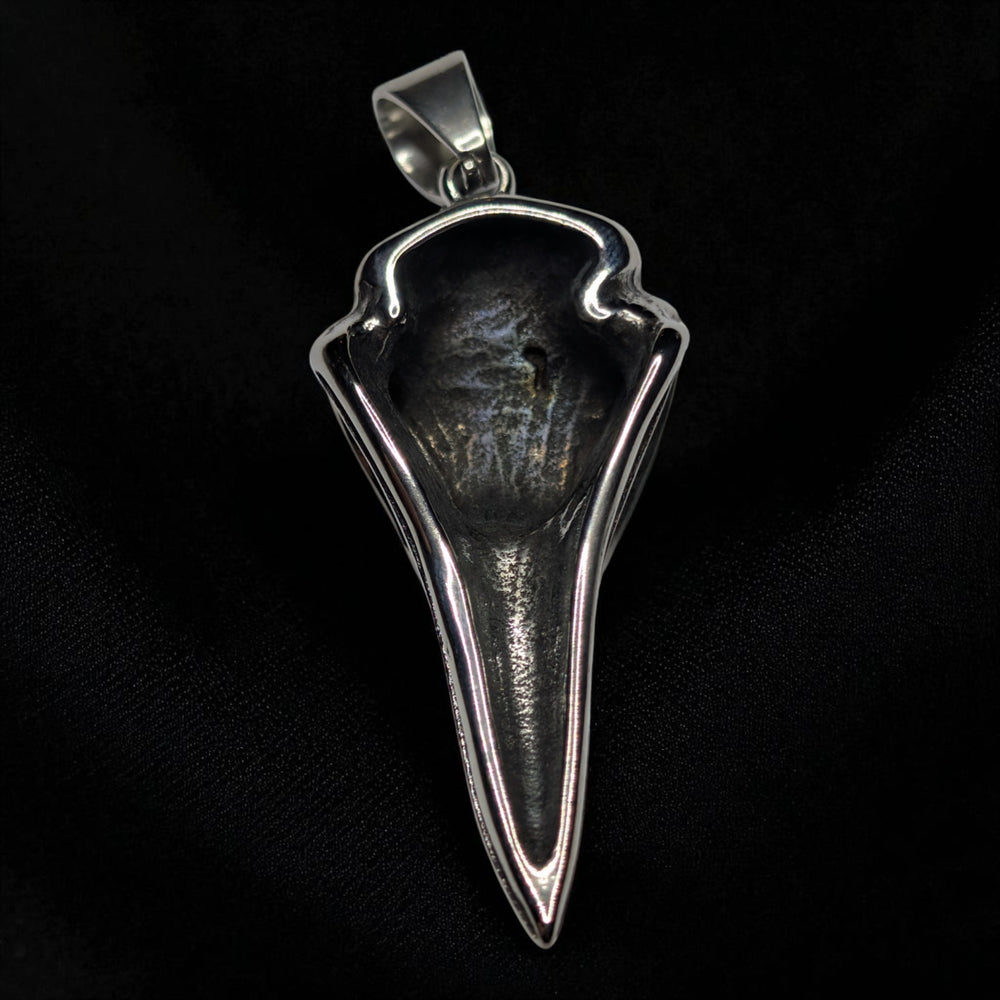 Rabenschädel mit Vegvisir