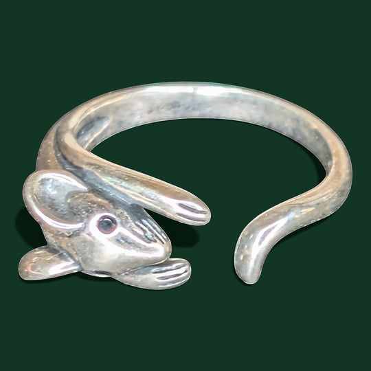 Detailaufnahme vom Ring aus 925er Silber von Sinnikäs®.